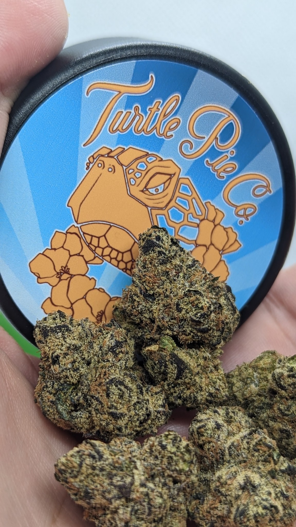Trurtle Piw Giant Fuyu from Turtle Pie Co | West Coast Weed Reviews
